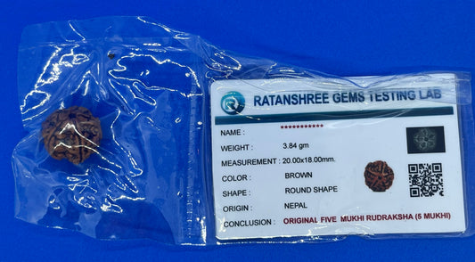 Rudraksha 5 Face 3.84g