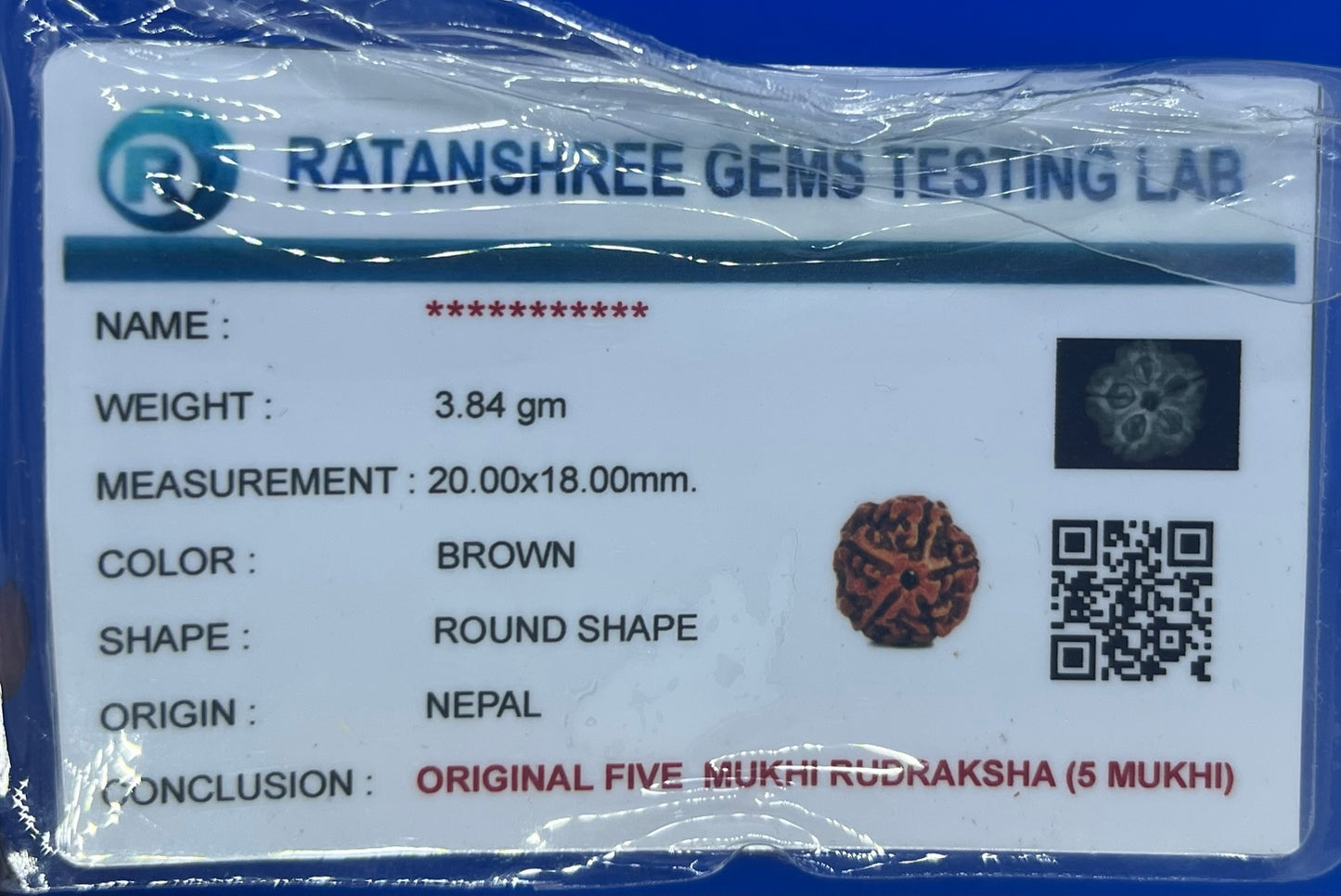 Rudraksha 5 Face 3.84g