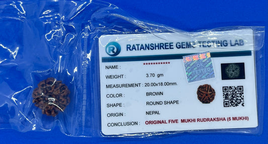 Rudraksha 5 Face 3.70g