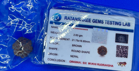 Rudraksha 6 Face 2.63g