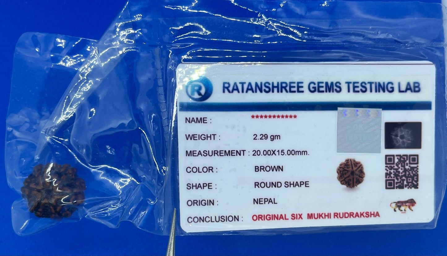 Rudraksha 6 Face 2.29g